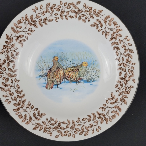 (2) WILD BIRDS Porcelain Soup Bowls - Picture 4 of 12